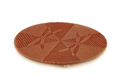 Dragonfly Cast Iron Trivet